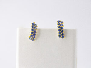 YGE 12 - 14 KT Gold Ear Ring with Blue Sapphire